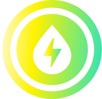 FLP.1 logo